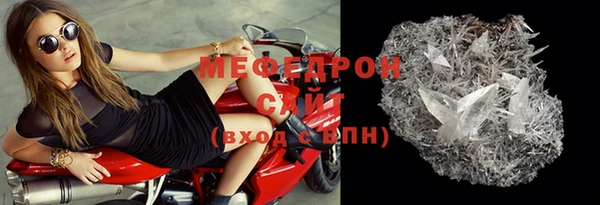 индика Каменка