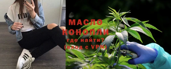 индика Каменка