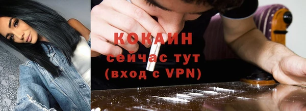 индика Каменка