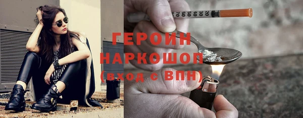индика Каменка