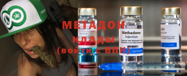 индика Каменка