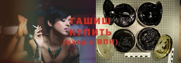 индика Каменка