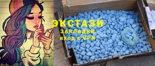 индика Каменка