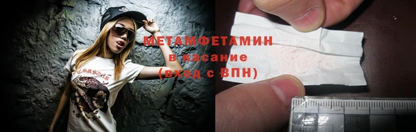 индика Каменка