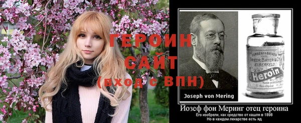 индика Каменка