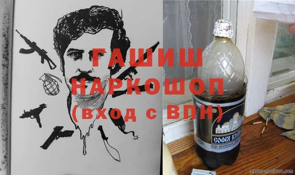 индика Каменка
