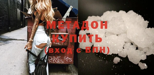 индика Каменка