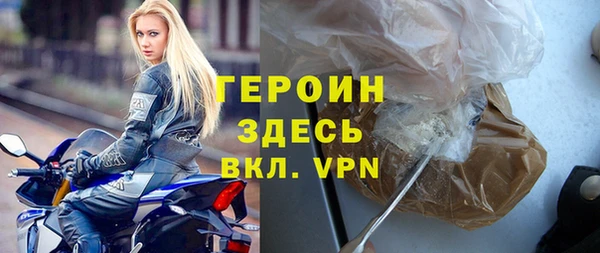 индика Каменка