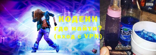 индика Каменка