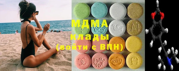 индика Каменка