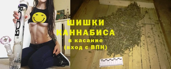 стаф Инта