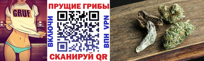 Галлюциногенные грибы Psilocybe Сосенский
